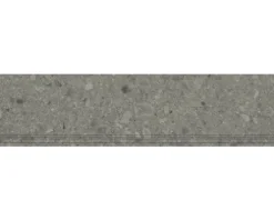 Feinsteinzeug Treppenstufe Donau 29,8 cm x 120 cm x 0,9 cm grau matt rektifiziert