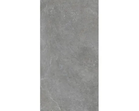 Feinsteinzeug Wand- und Bodenfliese MARSEILLE Dark grey rektifiziert 59.5 x 120 x 1 cm