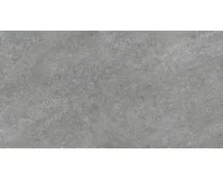 Feinsteinzeug Wand- und Bodenfliese MARSEILLE Dark grey rektifiziert 59.5 x 120 x 1 cm