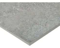 Feinsteinzeug Wand- und Bodenfliese MARSEILLE Dark grey rektifiziert 59.5 x 120 x 1 cm