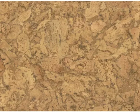 Handmuster zu Korkboden Naturtrend Castello 910 x 300 x 9,5 mm