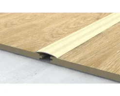 SKANDOR Anpassungsprofil champagner eloxiert selbstklebend 4,5x40x2700 mm