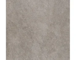 Wand- und Bodenfliese Udine Beige-Grau unglasiert 80 x 80 cm